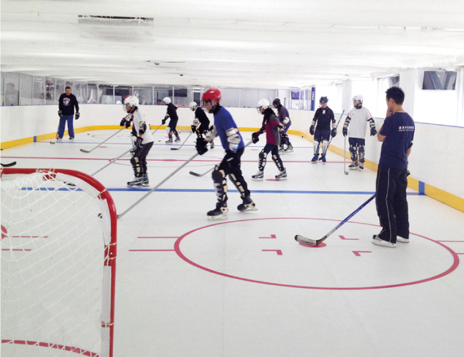 portable hockey rink Indiana